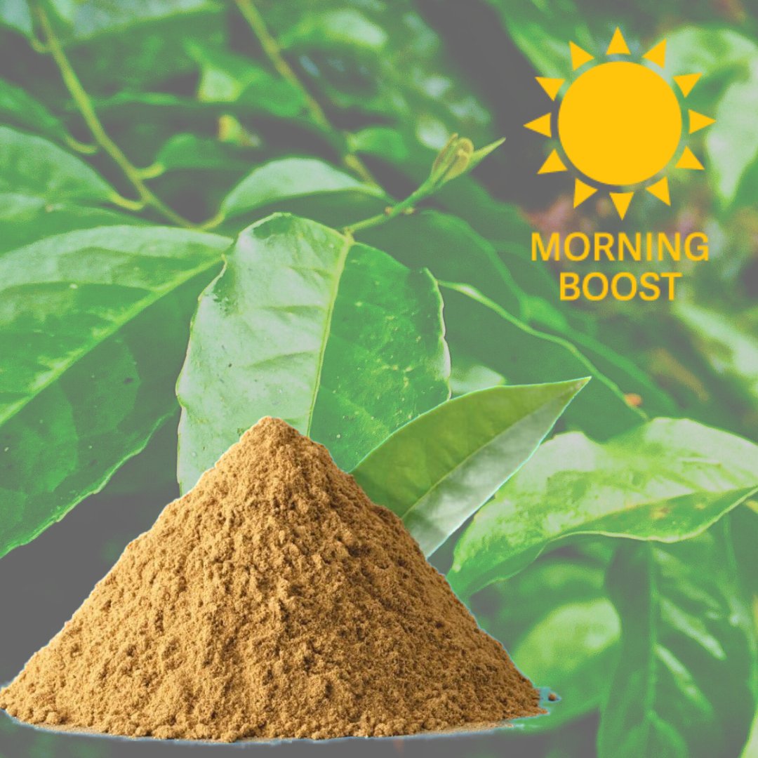 Podcast Spotlight: AmaTea® Max Organic Guayusa Extract - WellWater
